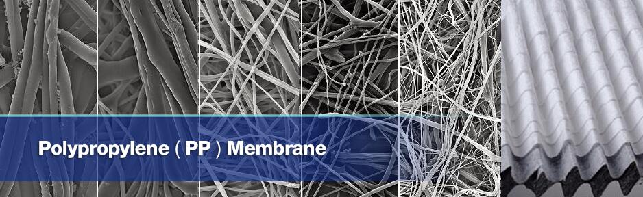 Polypropylene membrane cbt.jpg